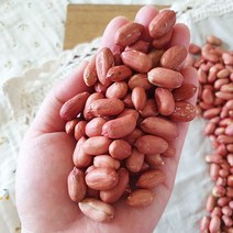 [산지직송] 좋은물과 흙이 만들어낸 땅콩! 23년 여주 햇 볶음 땅콩 1kg, 1개