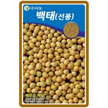 백태(선풍)씨앗 30g - 메주콩씨앗 / 텃밭작물 가정원예 식물기르기 주말농장 곡물종자