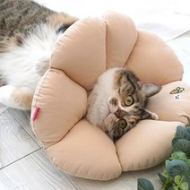 강아지 상처부위보호 쿠션 목보호대 넥카라 대형견 강아지안전카라 반려동물상처 미용