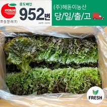<해돋이농산> 꽃상추 2kg 4kg내외, 꽃상추2박스(4kg)