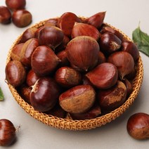 동충주농협 알이크고 튼실한 소태밤 4kg 소/중/대, 3.충주밤4kg(대)