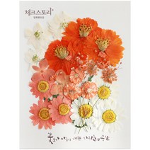 체크스토리 압화꽃모음 압화 공예 압화편지 드라이플라워, A_04_오렌지향기