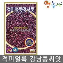 적피얼룩 강낭콩씨앗 50립, 적피얼룩강낭콩