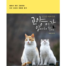 인간은 바쁘니까 고양이가 알아서 할게:열여섯 마리 고양이와 다섯 인간의 유쾌한 동거, 위즈덤하우스(예담)