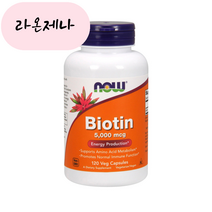 홈쇼핑 나우푸드 비오틴 5000mcg 120캡슐, 120개, 1개