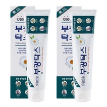 [부광약품] 부광탁스 치약 120g x 2개