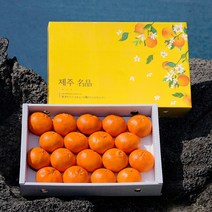 [품질보증] 인하네 제주 레드향 3kg 5kg 10kg 과일 선물 세트, 1box, 명품포장 레드향3kg(중대향)+가방