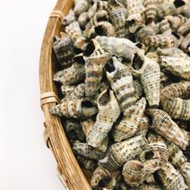 추억의 자숙 갯고동 1KG 냉동 (1팩) 냉동 업소용 일식용 혼술 술집안주 집에서간단한술안주 식당용 식자재, 본상품선택