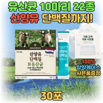 10억 유산균 네덜란드 산양유 단백질 가루 분말 스틱 락토바실러스 LGG 람노서스 모유유래 가세리 루테리 마시는 맛있는 프로틴 쉐이크 프락토올리고당 30대 40대 50대 남자 여자