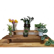 꿈이있는나무 아카시아원목 화분 받침대 진열대 정리대 선반 다이 화분대, 800, 대