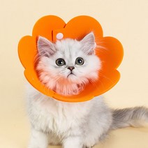 [당일발송]5H펫 반려동물 EVA 넥카라 강아지 고양이 중성화 깔대기, EVA 넥카라(옐로우), L