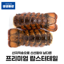 고씨네 냉동랍스타 꼬리 170g 랍스터 자숙랍스터, 단품