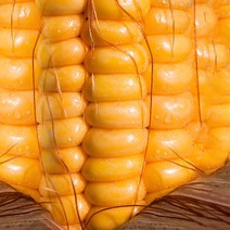 [특대20cm] 쫀득쫀득 찰 옥수수 찐 삶은 냉동 푸드지 10개 20개 30개, 백찰옥수수 특대  50입