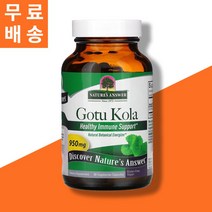 네이쳐스앤서 고투콜라 병풀 추출물 475mg 90정 식물성 베지캡슐 Gotu Kola