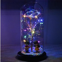 led 장미 부케 유리돔 꽃 무드등 조명 선물 감성조명 무드등 LED 여친 갤럭시 로즈, 협력사, I