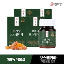 [천지양] 보스웰리아 30정 x 4박스 / 보스웰릭산 64%, 단품, 단품