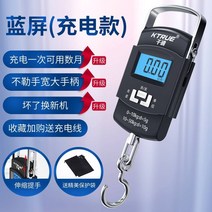 산업용 저울 크레인 저울 고리형 정확한 휴대용 전자 저울 고정밀 소형 휴대용 교수형, 충전 케이블 + 보호 커버를 보내는 충전 모델 5