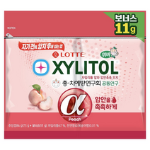 자기전에 양치후에 씹는 껌! 롯데 자일리톨 알파 입안촉촉 피치 리필 84g 1개