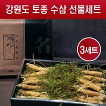 인삼 선물 세트 자연산 수삼 생삼 국내산 강원도 산지직송 토종 생인삼 10-13뿌리 사포닌 진세노사이드 꿀절임 차 주스 쉐이크 부모님 명절 설 추석 선물용, 300g X 3세트