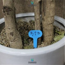 화분구분 화분데코레이션 반려식물 부목재질 식물라벨소