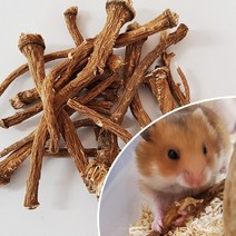 민들레 뿌리 50g 햄스터 국내산 이갈이 간식, 단품
