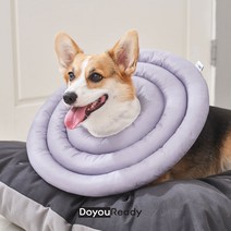 특수사이즈 강아지 넥카라 두꺼운목 짧은다리 (웰시코기 잉글리쉬불독 아메리칸불리), 네이비, 지름축소 3XL