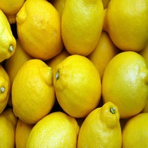 레몬 정품 팬시레몬 1kg 2kg 5kg 10kg 17kg, 03.정품/5kg, 중과