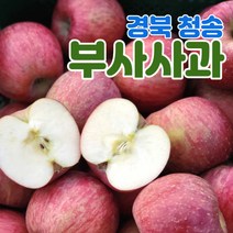 산지직송 경북 청송 사과 부사 5kg 10kg 가정용 정품 중소과 중과 대과, 정품용_부사, 5kg_대과, 1개