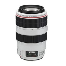 Canon 망원 줌 렌즈 EF70-300mm F4-5.6L IS USM 풀 사이즈 대응