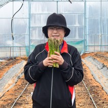 국내산 전남 영광 아스파라거스 1kg, 1개, 가는크기1kg