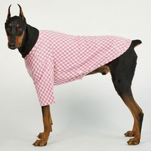 럭키페터 미니체크 강아지 옷 소형견 대형견 티셔츠, 아이보리/핑크