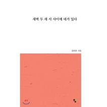 새벽 두 세 시 사이에 네가 있다:김천겸 시집, 뜰, 김천겸 저
