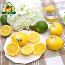 다양한 레몬특대과 인기 순위 TOP100 제품 추천