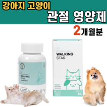 강아지 고양이 뒷다리 앞다리 관절 영양제 고관절 이형성 천연 소염제 통증 개선 완화 노견 다리 건강 연골 슬개골 탈구 버드나무껍질 브로멜라인 비타민C MSM 글루코사민, 1통