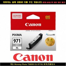 캐논 MOMMY PHOTO TS8090 CLI-971XL 회색/정품INK, 1, 본상품선택