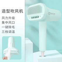 개 헤어 드라이어 애완 동물 송풍기 드라이기 드라이룸 펫 애견 털말리기 건조 고출력 업소용, C
