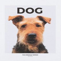(주)월드메거진 Dog Magazine Uk 2019년no.6