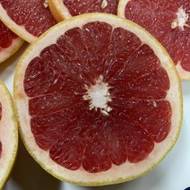 [과애모] 남아공 레드 루비 자몽 대과 3kg 5kg, 1개