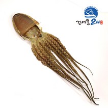 말린문어 피문어 돌문어 1마리 대자, 1개