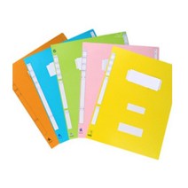 영오 친환경 정부화일, 청색, 10개