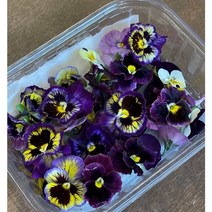 식용 꽃(팬지 비올라) 30송이
