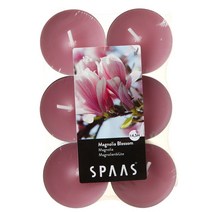 티라이트 향초 12개 플랫팩 SPAAS, 06 매그놀리아 블로섬