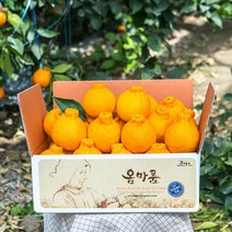 [옴마품]특고당도 제주 한라봉 9kg중과(33-39)-고당도추천