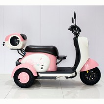 삼륜전기자전거 배달자전거 성인용 리튬배터리 세발 전동, 48V, 옵션1