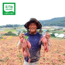 [해야농장] 무안 유기농 햇 고구마 3kg 5kg 10kg (꼬맹이) 인간극장출연, 유기농 햇밤 고구마 10kg (꼬맹이)