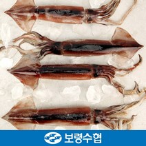 [보령수협] 국내산 초코오징어 4미(800g내외)