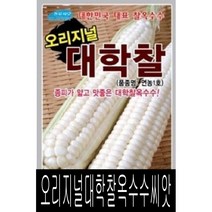 [워터트리몰] 채소 종자 재배 씨앗 오리지널 대학찰 옥수수 씨앗(80립) (A)