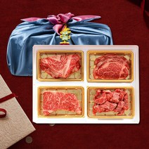 진정따옴 한우선물세트 1등급 꽃등심 안심 채끝 특수부위 소고기 구이용 한우 최고급 선물용 설 명절 선물세트 부직포가방, [진정따옴] 1등급 한우선물세트 1호