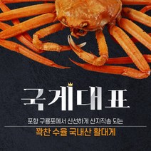 프리미엄 박달대게 600g (마리 기준), 1개