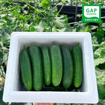 수분 가득 미니오이 피클 오이지 스낵 제철 간식용 1kg (15개-20개), 1개